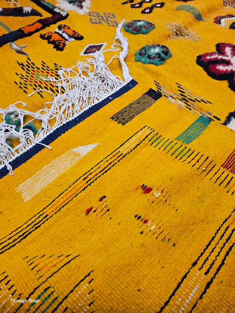 Tapis berbère - Kilim de Taznakht 2.66m x 1.61m