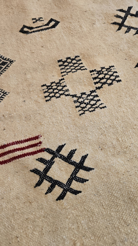 Tapis berbère - Kilim de Taznakht
