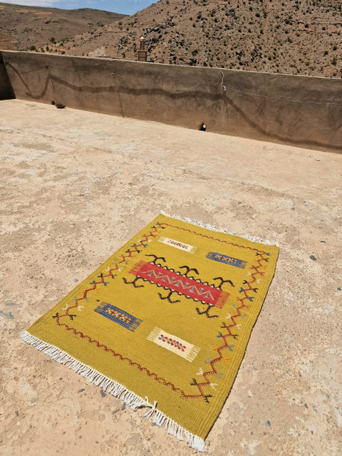 Tapis berbère - Kilim Akhnif de Taznakht 1.01m x 0.71m